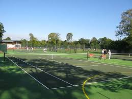 Image result for Cobham Sports Association Ltd