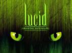 Drink This: LUCID Absinthe – Holytaco