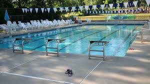 Image result for Mole Valley Sub Aqua Club