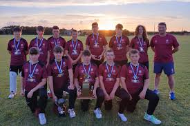 Image result for Bronwydd Cricket Club