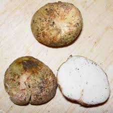 Attēlu rezultāti vaicājumam “Rhizopogon luteolus”