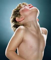 Image result for jill greenberg