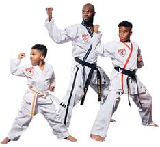 Image result for Get Into Martial Arts