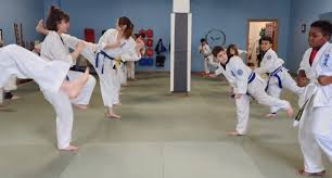Image result for Jin Sei Kai Shotokan Karate