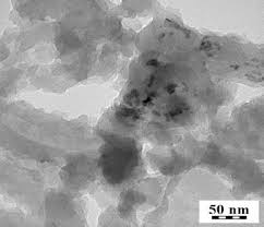 Image result for Sfânta Iuliana Falconieri