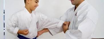 Image result for Springwood Karate