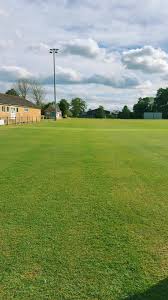 Image result for Wincanton Cricket Club