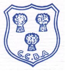 Image result for Cheshire Badminton Club