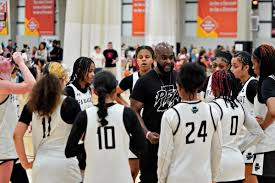 Image result for Blackpool Lights Ladies Basketball Club