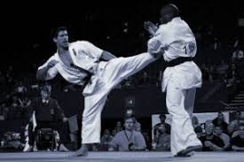 Image result for Colchester Wado Ryu Karate