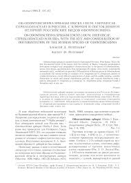 Attēlu rezultāti vaicājumam “Odontoschisma denudatum cells”