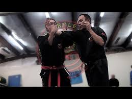 Image result for Komaru Ryu Small Circle Jujitsu/Karate