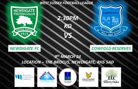 Image result for Newdigate F C