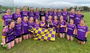 Image result for Carryduff Gaelic Athletic Club