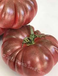 Afbeeldingsresultaat voor purple calabash tomato