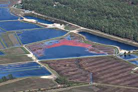 Image result for South Hams Flying Club