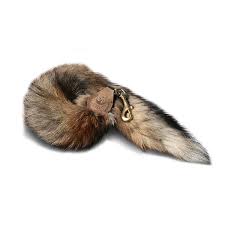 Image result for Fuchsschwanz