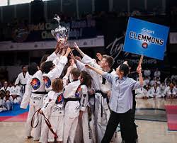 Image result for Kidderminster Tae Kwon Do Tigers