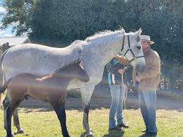 Image result for Bletchingly Badminton Club