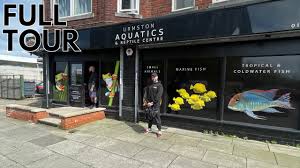 Image result for City Of Manchester Aquatics St