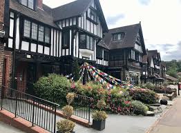 Image result for Oxted Runners