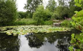 Image result for Heemtuin Rucphen