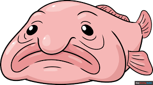 Image result for blobfish