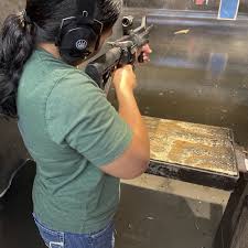 Image result for Property Gun and Punt Club