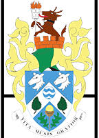 Image result for Haslemere Community Rugby Club