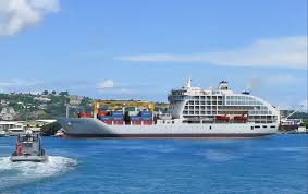 Attēlu rezultāti vaicājumam “Aranei exuvia”