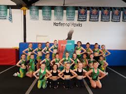 Image result for Hartlepool Hawks Cheerleading Academy