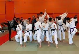 Image result for Oxford Karate Institute