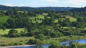 Image result for Peterculter Golf Club