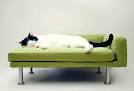 Modern Pet Bed, chaise lounge chair (Cat Bed / Small Dog Bed ...