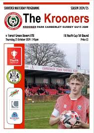 Image result for Camberley Ladies Football Club