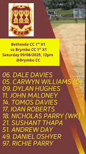 Image result for Clwb Criced A Bowlio Bethesda