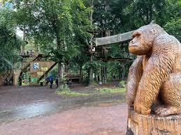 Image result for Go Ape! Moors Valley