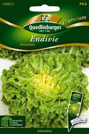 Image result for Endivie