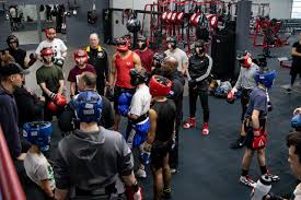 Image result for York University Boxing Club