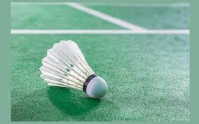 Image result for Saints Badminton Club