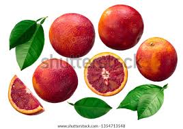 Attēlu rezultāti vaicājumam “Juglans x sinensis fruit”