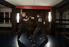 Image result for Everitt Karate Academy