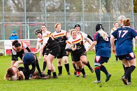 Image result for Crewe & Nantwich Rugby Union Football Club