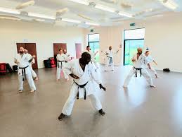 Image result for Aylesbury Vale Seido Karate