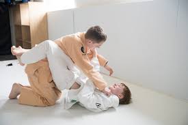 Image result for Macclesfield Dojo