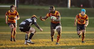 Image result for Sutton & Epsom Rugby Football Club