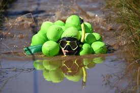 Image result for Bog Snorkelling Championships