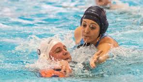 Image result for West London Penquin Swimming & Water Polo Club
