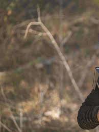 Image result for Killamarsh Mayhem