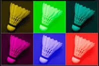 Image result for Marnhull and Gillingham Badminton Club